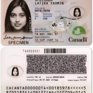 Buy fake Canadian ID card online